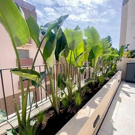 With Big Terrace Appart hôtel *